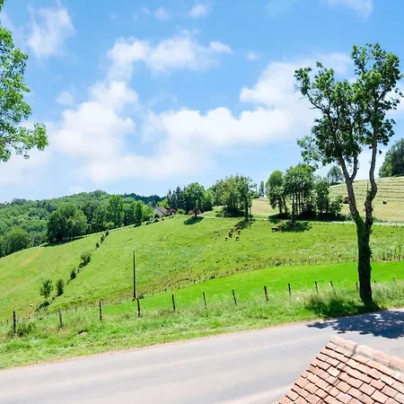 Charming House In With Pool *