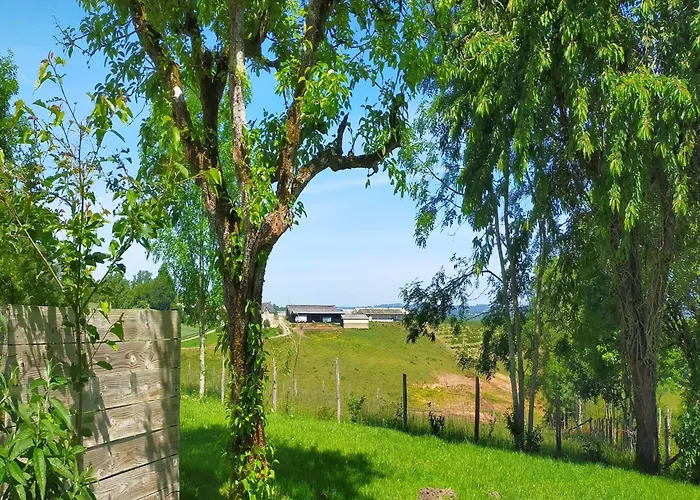Charming House In With Pool